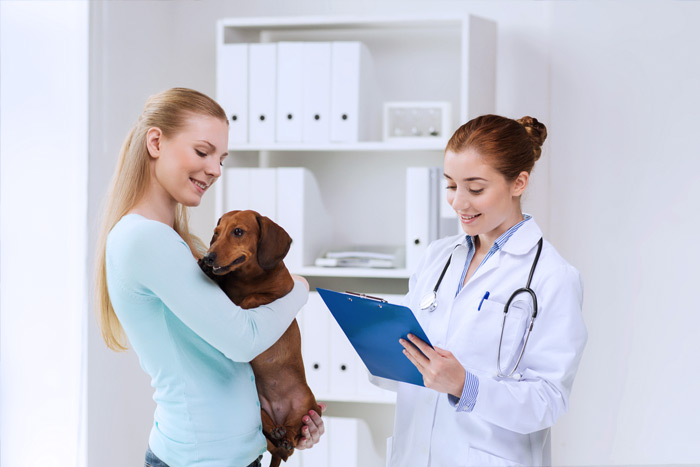 ЭЦП для оформления ветеринарных сертификатов (ГИС Меркурий) в Арсеньеве